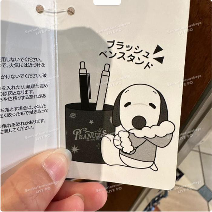 Extra_Image1.png