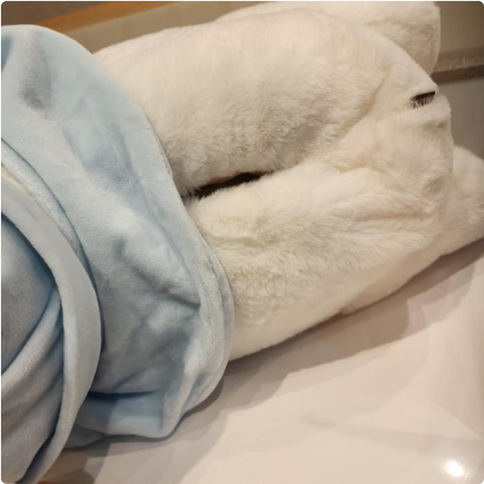 Extra_Image1.png