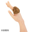Extra_Image1.png