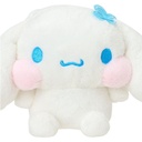 Extra_Image1.png