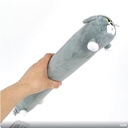 Extra_Image1.png