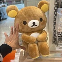 Extra_Image3.png