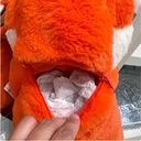 Extra_Image1.png