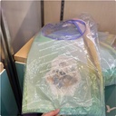 Mickey Friends Tote Bag