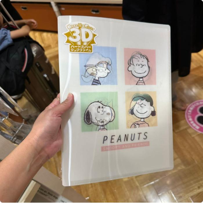3D Clearfile Peanuts