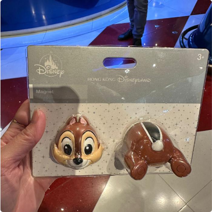 Chip Magnet