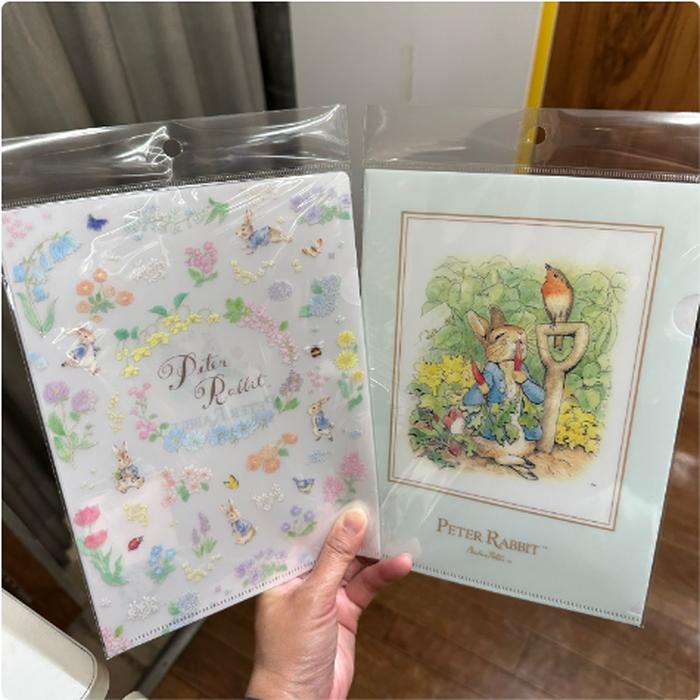 Peter Rabbit A5 Clear File 