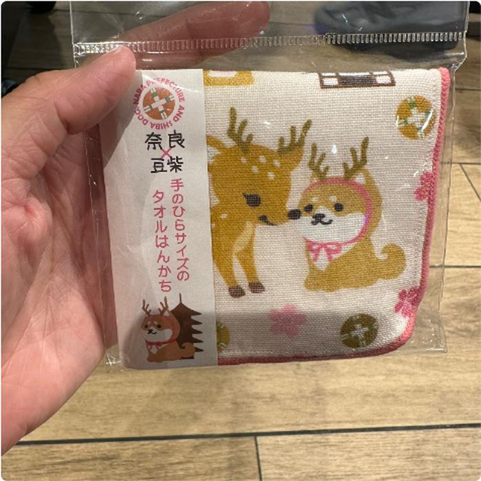 Mintow Shiba Rusa Nara Prefecture