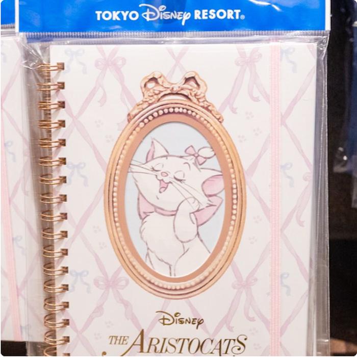 B6 Marie Notebook