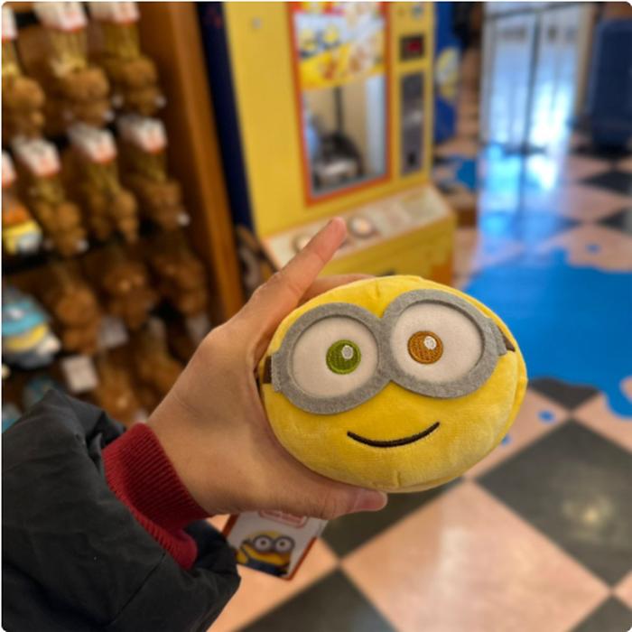 Case contents Memo Minion
