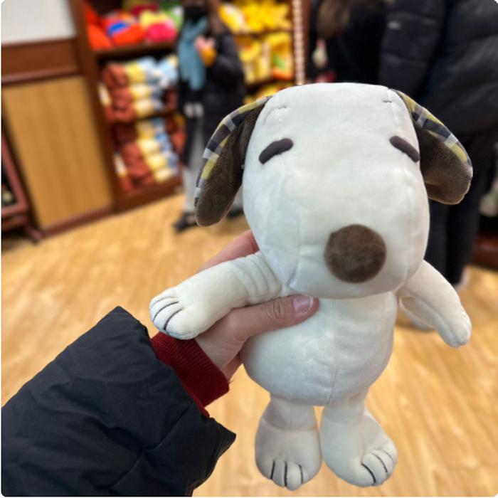 Pen Case Snoopy