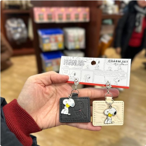 [1/26/2025-11:52-330] Charm sets contents 2 Snoopy 