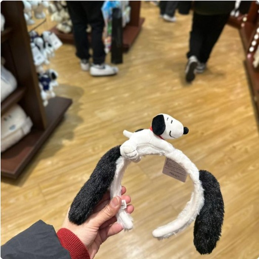 [1/26/2025-11:54-480] Snoopy Headband