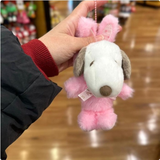 [1/26/2025-11:56-450] Strap Rabbit Snoopy