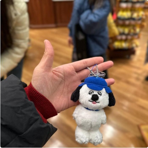 [1/26/2025-12:26-320] Charm Olaf Small