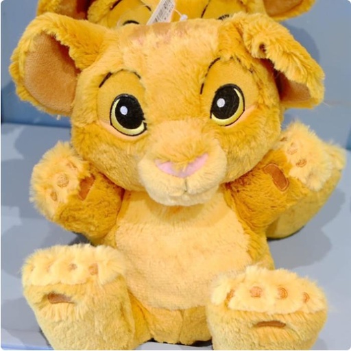 [1/26/2025-18:09-430] Handpuppet Simba