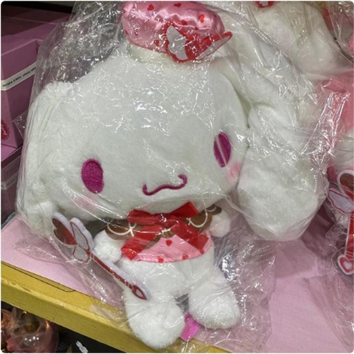 [24/1/2025-10.54-485] Push Valentine Cinnamoroll