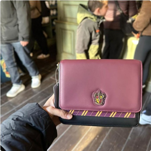 [24/1/2025-20.43-840] Gryffindor Bag get Sling 