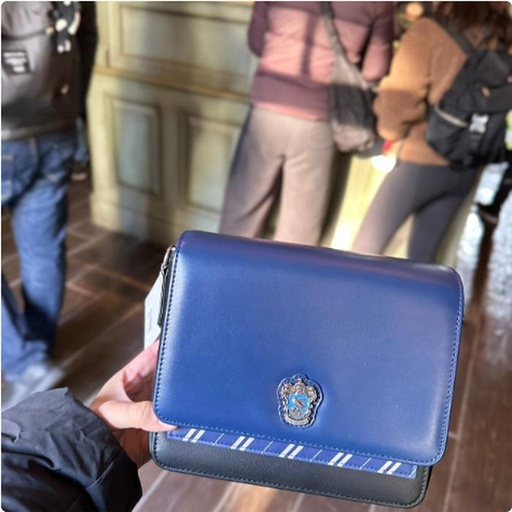 [24/1/2025-20.43-840] Ravenclaw Bag get Sling 