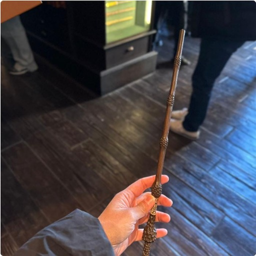 [24/1/2025-20.43-880] Interactive Wand