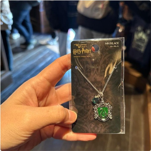 [24/1/2025-21.03-320] Necklace Slytherin