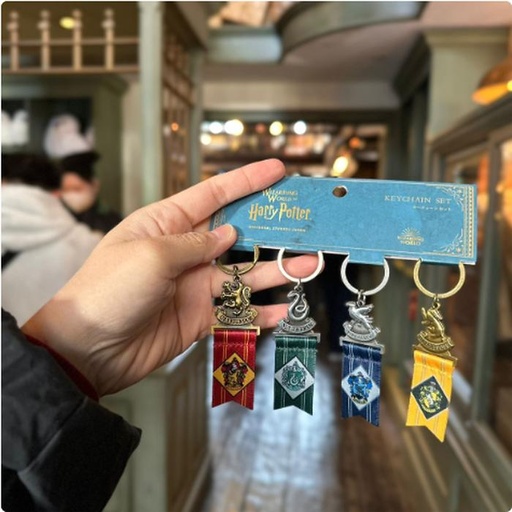 [24/1/2025-21.04-440] Keychain Badge House Sets contents 4