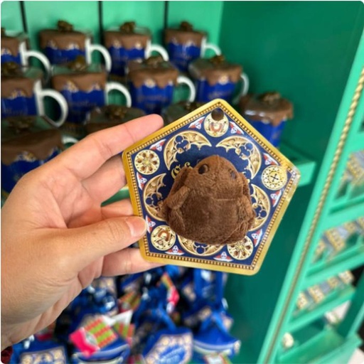 [24/1/2025-21.11-260] Choco Frog ring 