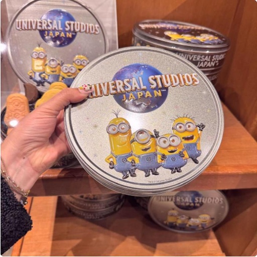 [28/02/2025-09:19-465] Tincase Minion Cans 