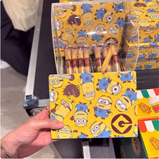 [2/27/2025-12:29-310] Minion Tincase With Yokumoku
