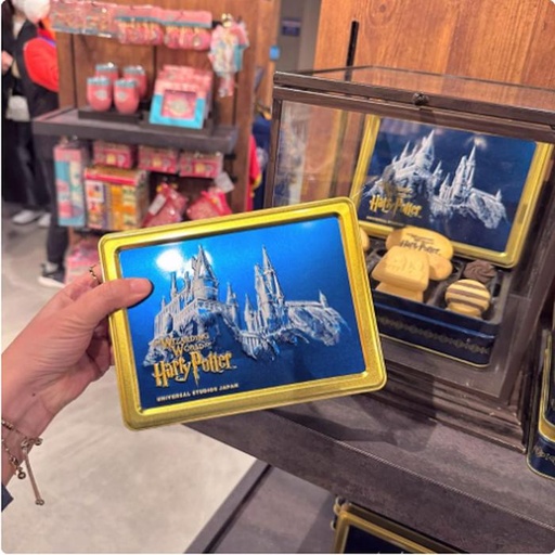[2/27/2025-12:30-400] Tincase Harry Potter Filled With Butter Cookies