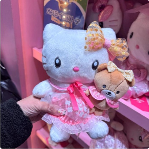 [2/27/2025-13:39-560] Plush Kitty