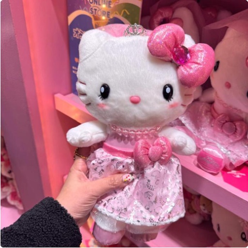 [2/27/2025-13:39-760] Plush Princess Kitty