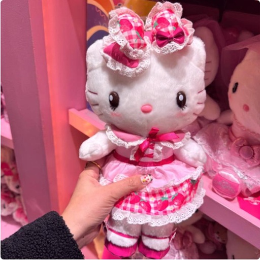[2/27/2025-13:39-760] Strawberry Plush Kitty 