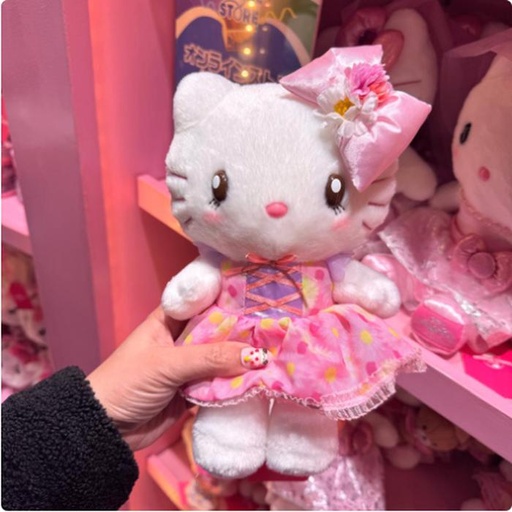 [2/27/2025-13:39-570] Plush Kitty Polkadot