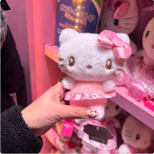 [2/27/2025-13:39-470] Small Plush Kitty 