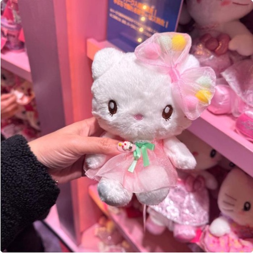 [2/27/2025-13:40-420] Small Plush Kitty