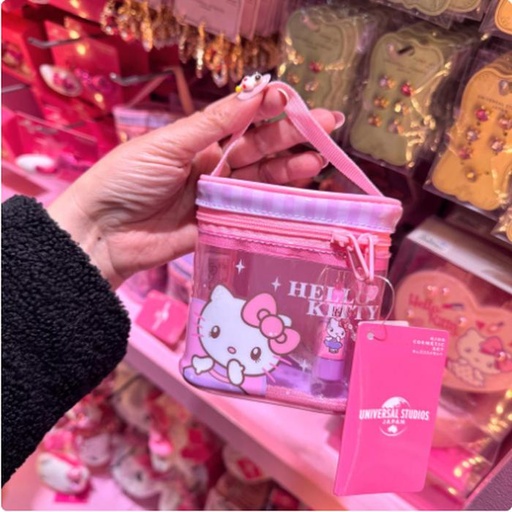 [2/27/2025-13:40-580] Kitty Vanity Bag - Inside The Contents Of Beauty Sets For Kids - Lip Gloss Etc.