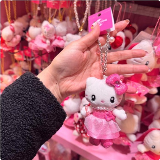 [2/27/2025-14:26-330] Strap Kitty Princess
