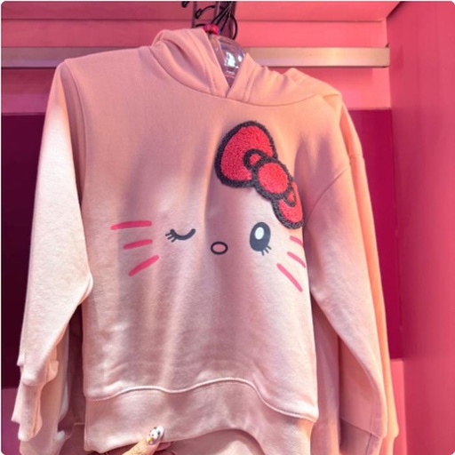 [2/27/2025-14:28-895] Hoodie Kids Kitty 