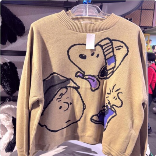 [2/27/2025-14:39-None1200] Knitted Sweater Snoopy Funday 