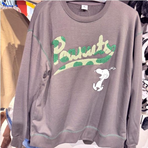[2/27/2025-14:40-None1050] Peanuts Sweater Gray
