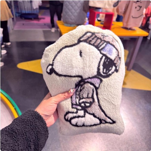 [2/27/2025-14:41-790] Snoopy Funday Blanket Pillow 