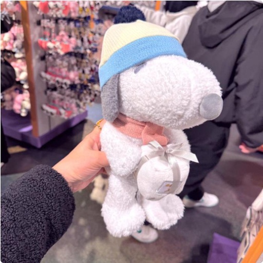 [2/27/2025-14:50-490] Plush Snoopy Winter