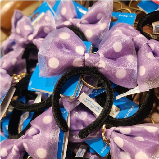 [3/5/2025-09:18-190] Minnie Day - Keychain Headband Violet 