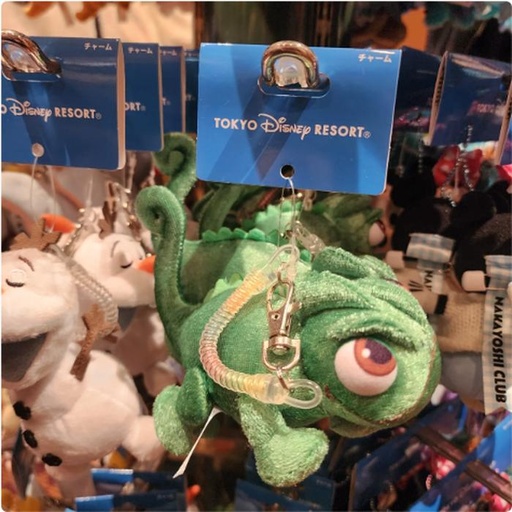 [3/5/2025-09:36-450] Keychain - Pascal 