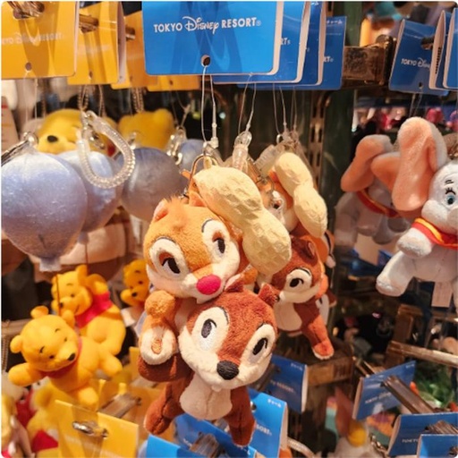[3/5/2025-09:36-490] Keychain - Chip Dale Sets 