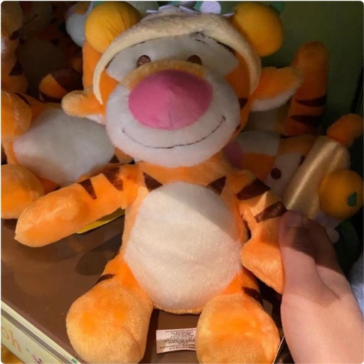 [3/9/2025-15:58-580] Tiger Plush HKDL