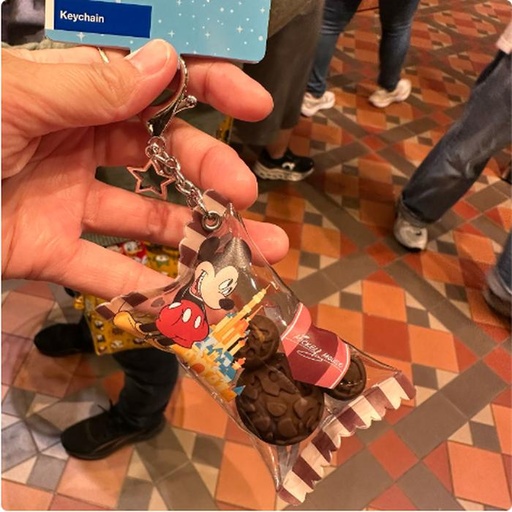 [3/9/2025-17:23-265] Candy Mickey's Keychain