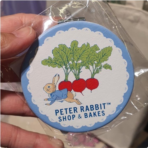 [3/11/2025-14:55-200] Mirror Peter Rabbit Blue