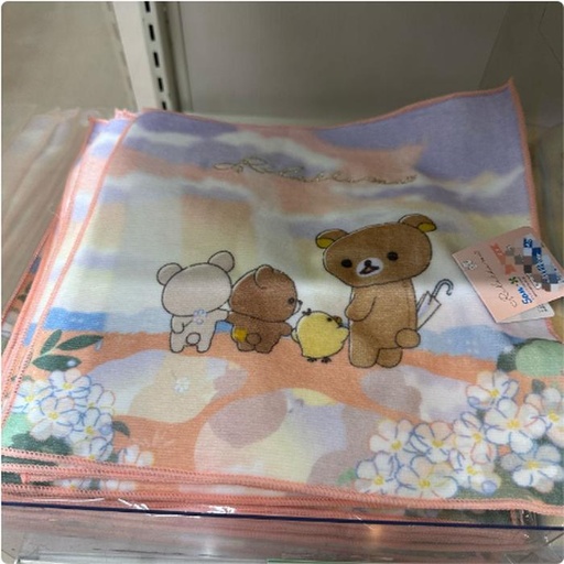 [3/12/2025-08:46-135] Rilakkuma Rainy Days Mintow B